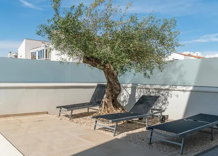 Villa Dea - Luxus In Kroatien Mit Beheizten Pool Vrsi-mulo Bei Zadar *