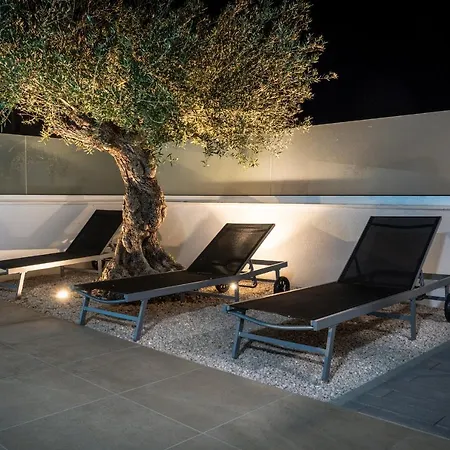 别墅 Dea - Luxus In Kroatien Mit Beheizten Pool Vrsi-mulo Bei Zadar 沃希