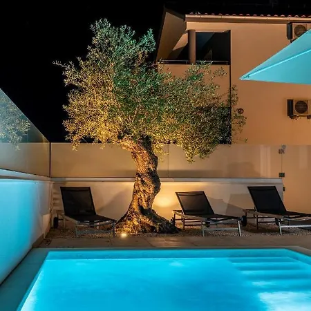 别墅 Dea - Luxus In Kroatien Mit Beheizten Pool Vrsi-mulo Bei Zadar 沃希